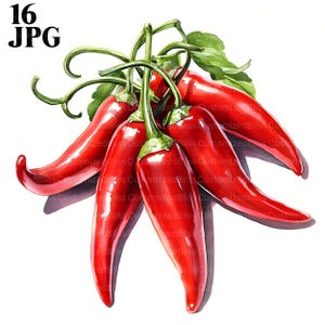 16 Chilli Peppers Clipart, Red Hot Peppers, Chili Clipart, High Quality JPG, Watercolor Clipart, Junk Journal, Digital Download, Paper Craft