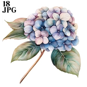 18種類のアジサイのクリップアート、花のクリップアート、植物のクリップアート、高品質のJPG、水彩画のクリップアート、ジャンクジャーナル、デジタルダウンロード、ペーパークラフト