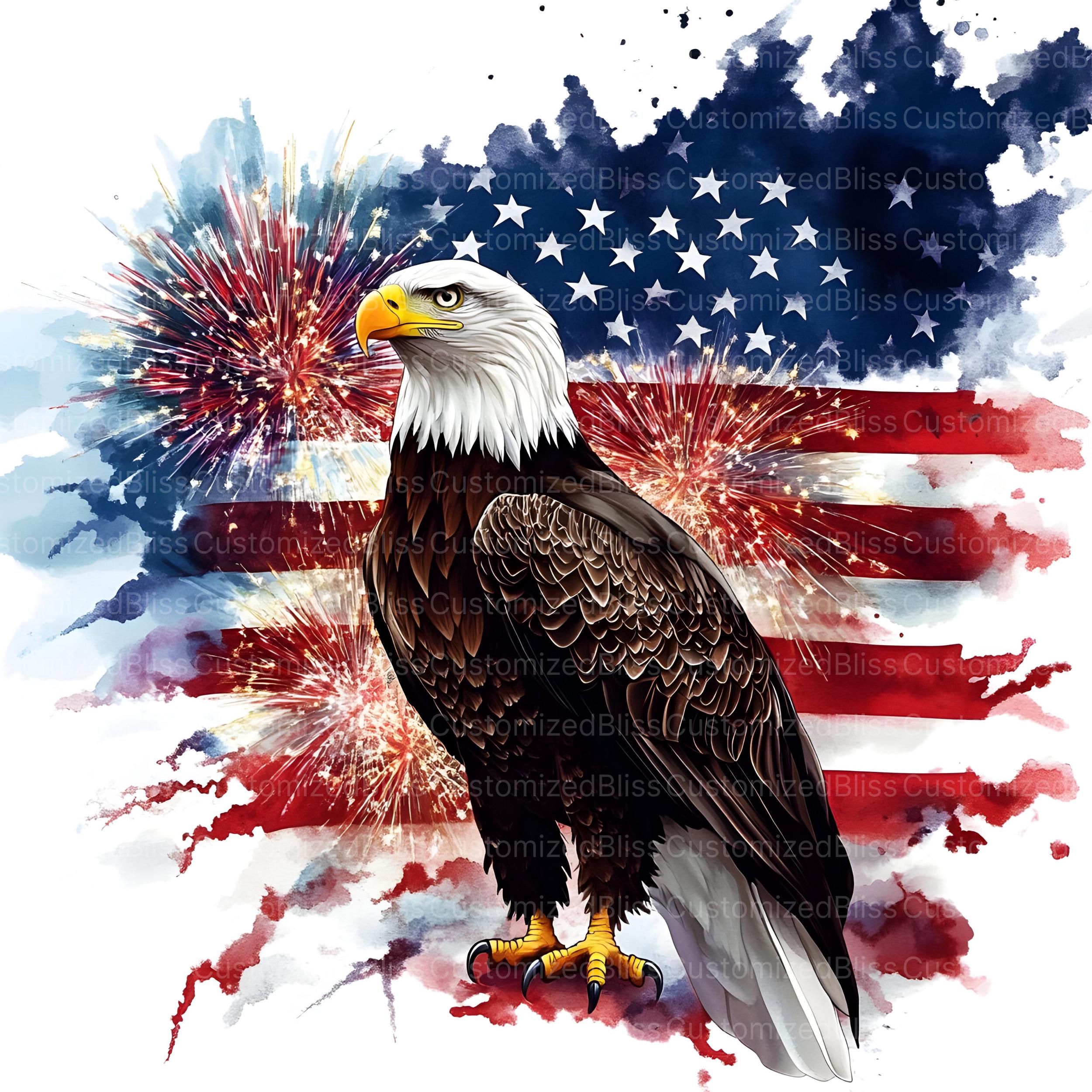 4th July Eagle Clipart, 18 High Quality Jpgs, 4th of July Clipart