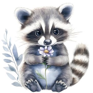 Puede incluir: Una ilustraci&oacute;n de acuarela de un lindo mapache sosteniendo una flor morada. El mapache est&aacute; sentado sobre sus patas traseras con su cola enroscada alrededor de su cuerpo. El fondo es una acuarela blanca.