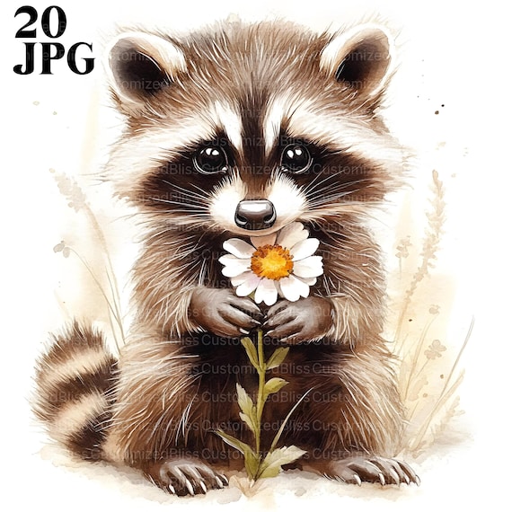 20 Raccoon with Flower Clipart, Raccoon Clipart, High Quality JPG, Watercolor Clipart, Junk Journal, Digital Download, Paper Craft, Clip Art