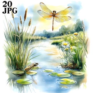 20 Clip Art de Taboas e Libélulas, Clipart de Libélulas, Clipart de Taboas, Clipart de Lírio, Natureza, Diário de Lixo, Download Digital, JPG
