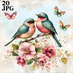 Shabby Chic Valentine Liebe Vögel mit Blumen Clipart Bundle, 20 hochwertige Aquarell JPGs, Journaling, Scrapbooking, digitaler Download
