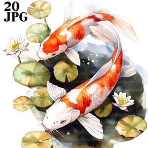 20 Koi Fische Clipart, Japanische Koi Fische Clipart, hochwertige JPG, Aquarell Clipart, Junk Journal, digitaler Download, Papiermodelle Clip Art