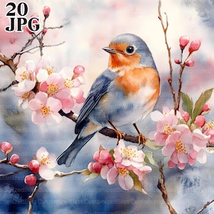 20 Spring Robin Clipart, Imagens de Robin Bird, Berçário de pássaros fofos, Clipart de pássaros, JPGs de alta qualidade, Diário de lixo, Download digital, Artesanato em papel