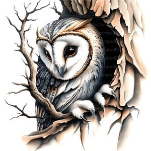 May include: A white and gray owl with brown markings is perched inside a tree trunk. The owl has large, dark eyes and a white face. The tree trunk is textured and has a rough surface.