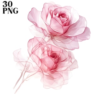 Pacote de clipart de rosas rosa abstratas, flores secas, rosas PNG, rosas abstratas, clipart de aquarela para impressão, artesanato em papel, diários de lixo