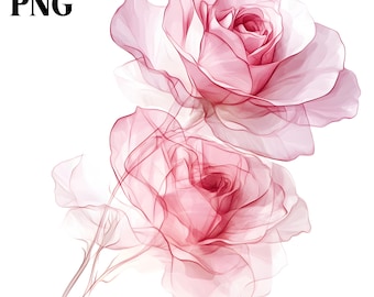 May include: Two delicate pink roses with translucent petals are depicted against a white background. The flowers have a watercolor effect, with soft shading and fine lines defining the petals. The text "30 PNG" is in the upper left corner.