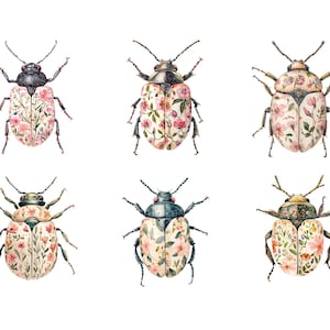 Pode incluir: Seis ilustra&ccedil;&otilde;es de aquarela de besouros com padr&otilde;es florais em suas asas. Os besouros s&atilde;o todos de cores diferentes e t&ecirc;m padr&otilde;es florais diferentes. Os besouros est&atilde;o todos olhando para a frente e t&ecirc;m suas asas abertas.