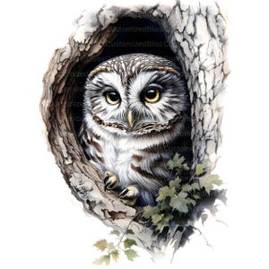 May include: A small brown and white owl with yellow eyes is perched inside a tree trunk. The owl is looking directly at the viewer. The tree trunk is light brown with a rough texture.