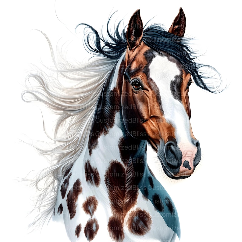 May include: A close-up portrait of a brown and white spotted horse with a flowing white mane and a black tail. The horse has a brown and white face with a pink nose.