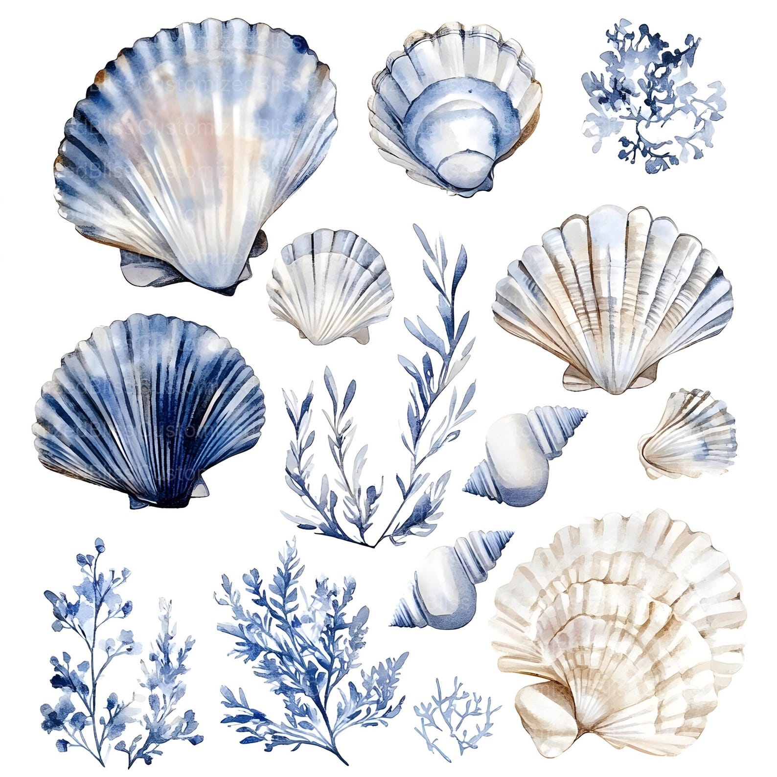 Botanicial Shell 20 Sea Shells Clipart, Coastal Botanical Seashells, High Quality Jpgs ...
