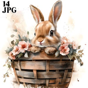 May include: A brown bunny rabbit with pink eyes sits in a woven basket with pink flowers. The bunny is looking directly at the viewer.