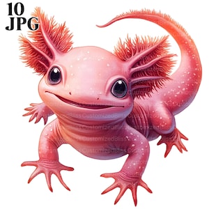 10 Cute Axolotl Clipart, Axolotl Craft, Axolotl Graphic, Axolotl Design, Aquatic Designs Nursery Aquatic Art High Quality JPG Commercial Use