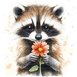 Puede incluir: Una pintura de acuarela de un mapache sosteniendo una flor rosa. El mapache tiene una m&aacute;scara negra y est&aacute; mirando al espectador. El fondo es blanco con salpicaduras de color marr&oacute;n claro.
