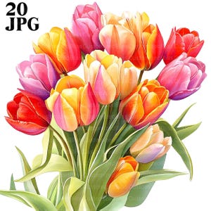 20 Colorful Tulips Clipart, Bouquet of Tulips Images, High Quality JPGs, Watercolor Clipart, Junk Journal, Digital Download, Paper Craft