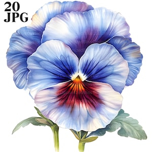 20 Purple Blue Pansy Flower Clipart, Pansy Clipart, Pansy Watercolors, Cute Flower, Flower Junk Journal, High Quality JPGs, Digital Download