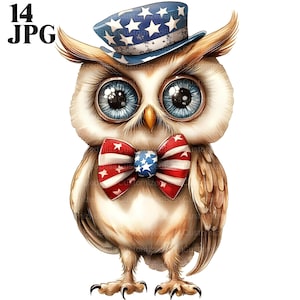 14 Clipart di gufo patriottico, simpatico gufo con cappello e papillon degli Stati Uniti, clipart del 4 luglio, JPG di alta qualità, download digitale, diario spazzatura, clipart