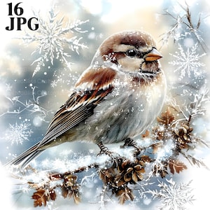 Pardal de inverno Clipart, Pássaro Clipart, Inverno Clipart, Natureza Clipart, Cena de inverno, 16 JPGs de alta qualidade, Diário de lixo, Download digital