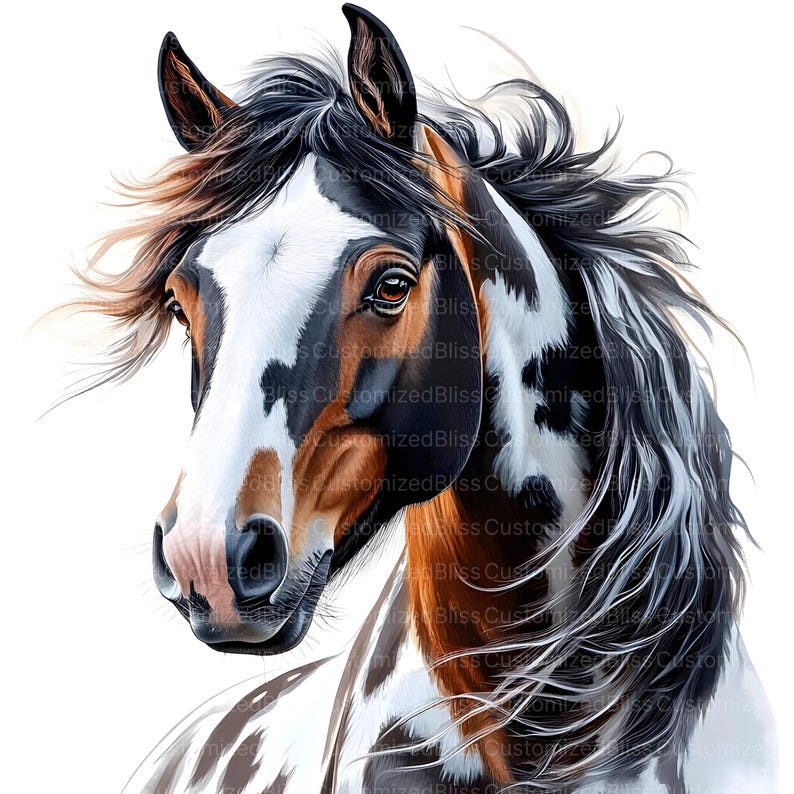 May include: A close-up of a horse's head with a black, white, and brown paint pattern. The horse has a long, flowing mane and tail. The horse's eyes are brown and its nose is pink.