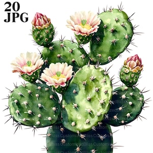 20 Cactus Clipart, Images de cactus, Clipart plante, JPG haute qualité, Clipart aquarelle, Junk Journal, téléchargement numérique, créations en papier imprimable