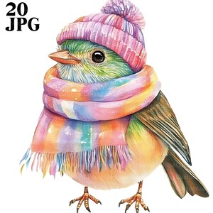 20 skurrile Vogel Clipart, Bunter Vogel, schrulliges Tier, Süsser Vogel, Süsses Tier Clipart, Junk Journal, Digital Download, JPG