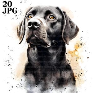 20 Labrador Clipart, Cute Dog Clipart, Puppy Clipart, High Quality JPGs, Watercolor Clipart, Junk Journal, Digital Download, Paper Craft