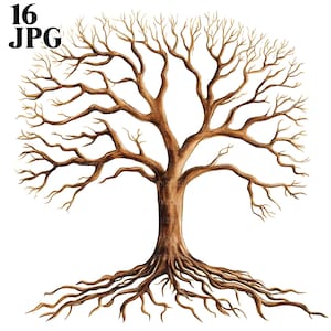 16 Clipart di radici di quercia, Clipart di albero genealogico di quercia, JPG di alta qualità, Clipart di acquerelli, Diario di scarto, Download digitale, Lavoretti di carta