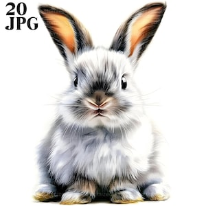 20 Clipart de coelho fofo, Clipart de coelho fofo, Coelho fofo, JPGs de alta qualidade, Clipart de aquarela, Diário de lixo, Download digital, Artesanato em papel
