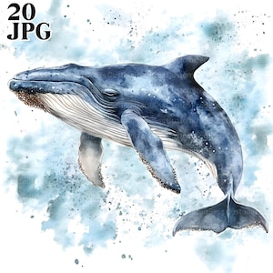 20 Wal Walfisch Clipart, 3D Bilder, Wal Kindergarten, hochwertige JPGs, Aquarell Clipart, Junk Journal, Digital Download, Papiermodell, Clip Art