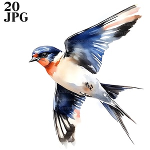 20 clipart de andorinhas, clipart de pássaros andorinhas voadoras, JPG de alta qualidade, clipart de aquarela, diário de lixo, download digital, artesanato em papel, clip art
