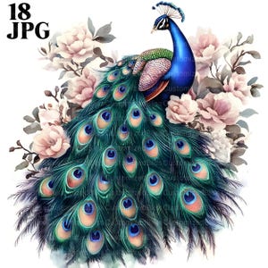 18 Floral Peacock Clipart, Bird Clipart, Floral Clipart, High Quality JPGs, Watercolor Clipart, Junk Journal, Digital Download, Paper Craft