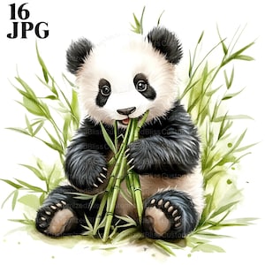 16 Baby Panda Clipart, Panda mit Bambus Clipart, hochwertige JPG, Aquarell Clipart, Junk Journal, digitaler Download, Papier Handwerk ClipArt