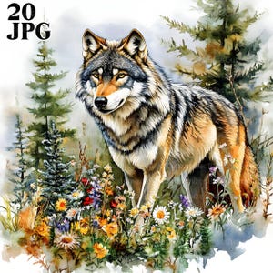 20 Wolf in Summer Clipart, Wolf Clipart, High Quality JPGs, Watercolor Clipart, Junk Journal, Digital Download, Paper Craft, Printable