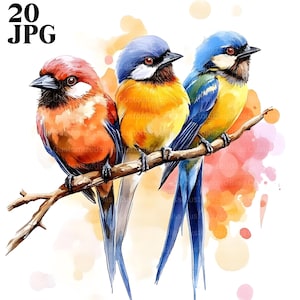 20 Birds On Branch Clipart, Spring Birds Clipart, High Quality JPG, Watercolor Clipart, Junk Journal, Digital Download, Paper Craft Clip Art