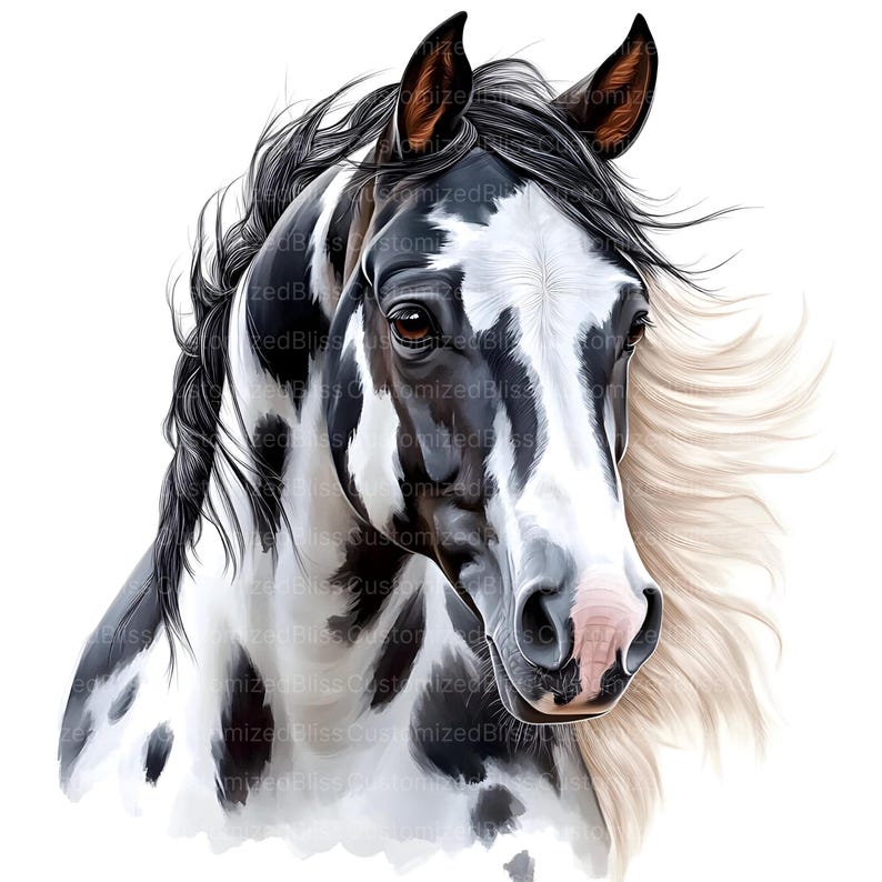 May include: A close-up portrait of a black and white spotted horse with a long, flowing mane. The horse has a white blaze on its face and a pink nose.