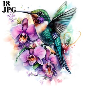 Kolibri Clipart, Vogel Clipart, 18 hochwertige JPGs, Aquarell Clipart, Junk Journal, digitaler Download, kommerzielle Nutzung, Papier Handwerk