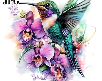 Hummingbird Clipart, Bird Clipart, 18 High Quality JPGs, Watercolor Clipart, Junk Journal, Digital Download, Commercial Use, Paper Craft