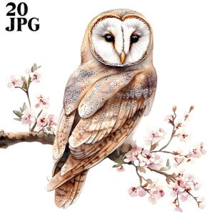 Hibou en branche des cliparts, clipart hibou mignon, chouette effraie des cloches, JPG de haute qualité, clipart aquarelle, Junk Journal, téléchargement numérique, créations en papier