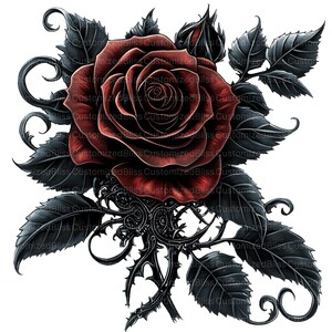 May include: A single red rose with dark, intricate, thorny stems and leaves. The rose is in full bloom with a deep red color.