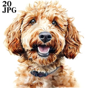 20 cliparts Goldendoodle, aquarelle Goldendoodle, impression Goldendoodle, clipart chien, chiot clipart, Junk Journal, téléchargement numérique, JPG