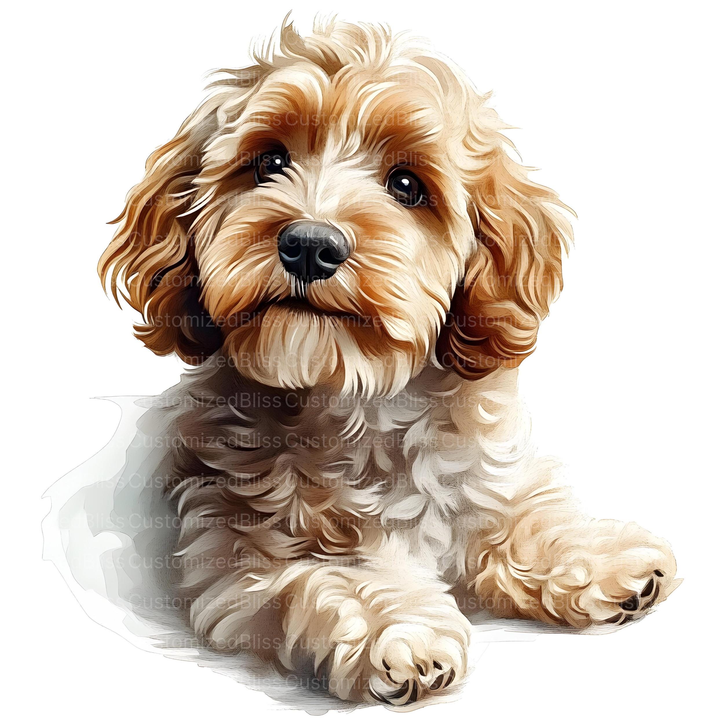Cockapoo Dog Clipart, 20 High Quality Jpgs, Cockapoo Clipart, Puppy ...