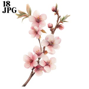 Einfache Kirschblüte Clipart, Blumen Clipart, 18 hochwertige JPGs, Aquarell Clipart, Junk Journal, digitaler Download, Papiermodelle