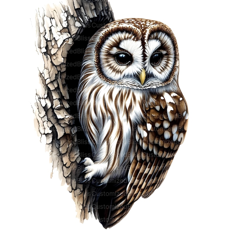 May include: A brown and white owl with large, dark eyes is perched inside a tree trunk. The owl's feathers are detailed with brown and white stripes and spots.