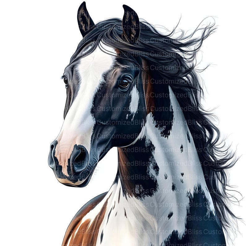 May include: A close-up portrait of a black and white paint horse with brown markings. The horse has a long black mane and tail that is blowing in the wind. The horse's eyes are dark and expressive.