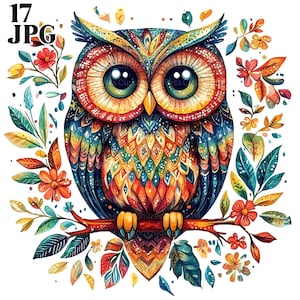 Clipart di arte popolare, clipart di gufo, scandinavo, clipart nordico, clipart etnico, 17 JPG di alta qualità, diario spazzatura, download digitale di carta artigianale