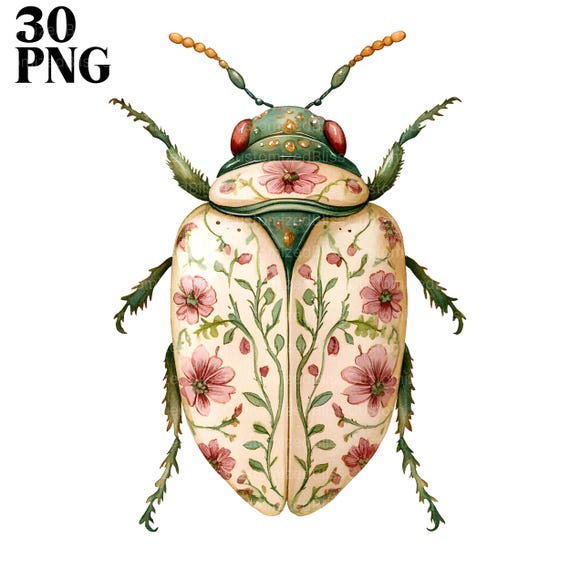 Floral Beetle Insect Clipart Bundle, 30 High Quality PNG, Folk Art Beetle Clipart, Card Making, Clip Art, Digital Paper Craft, Scrapbooking