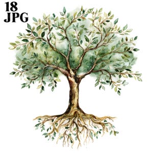 May include: Watercolor illustration of a tree with a brown trunk, green leaves, and exposed roots. The tree is depicted with a soft, artistic style, and the image is set against a white background. The text "18 JPG" is in the upper left corner.