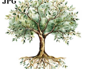 18 Tree Of Life With Roots Clipart, Oak Tree Clipart, High Quality JPGs, Watercolor Clipart, Junk Journal, Digital Download, Paper Craft