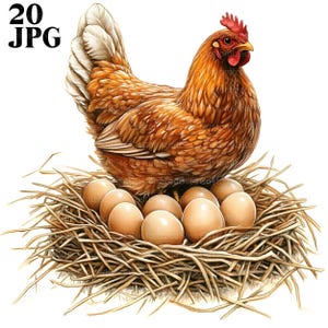20 imágenes prediseñadas de pollo, imágenes prediseñadas de gallo, imágenes prediseñadas de gallina, pollo de acuarela, imágenes prediseñadas de animales de granja, imágenes prediseñadas de granja, animales de granja, imágenes prediseñadas de huevo, JPG